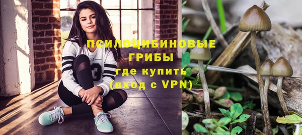 мяу мяу мука Алексеевка