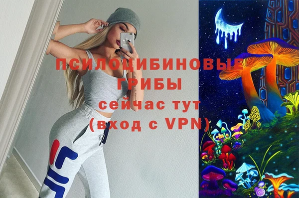 прущие грибы Алзамай