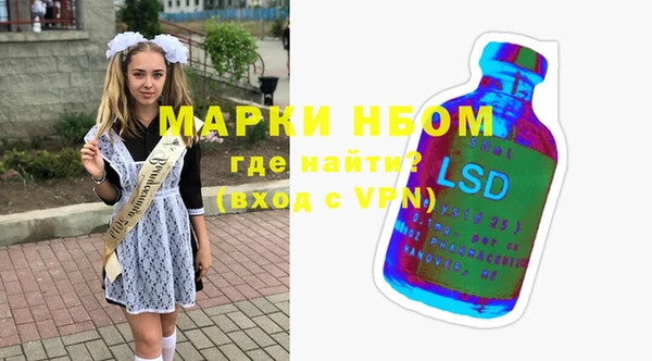 прущие грибы Алзамай